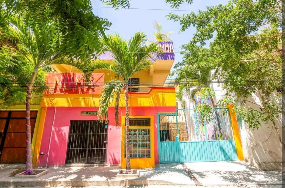 Numa Hotel Boutique Playa del Carmen Exteriör bild